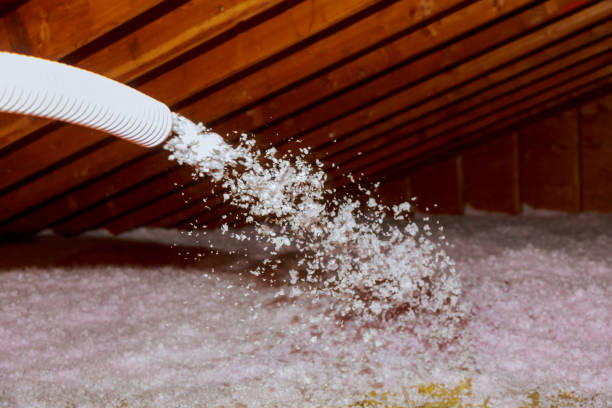 Best Specialized Insulation Services in Forsyth, IL