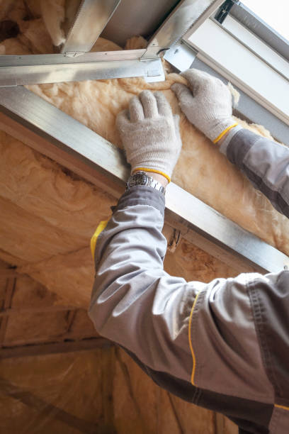 Best Geographic-Specific Insulation Services in Forsyth, IL