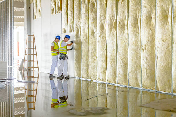 Best Specialized Insulation Services in Forsyth, IL